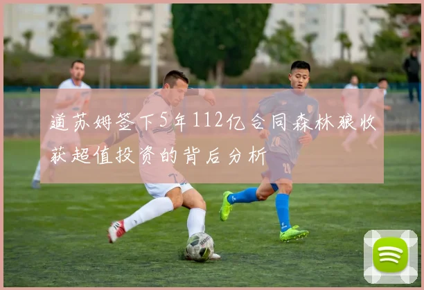 道苏姆签下5年112亿合同森林狼收获超值投资的背后分析