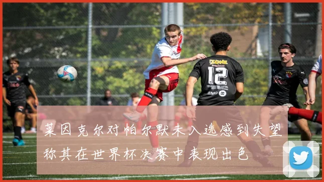 莱因克尔对帕尔默未入选感到失望称其在世界杯决赛中表现出色